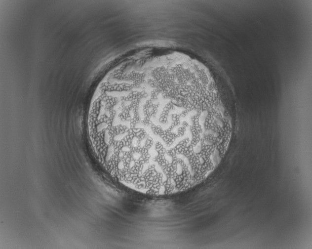 X0000076060063200610201959