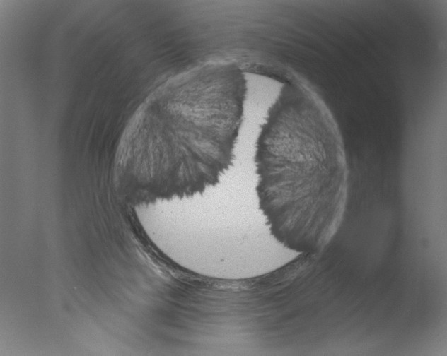 X0000076060065200610201959