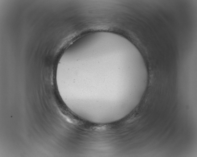 X0000076060068200610201959