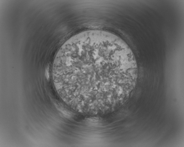 X0000076060069200610201959