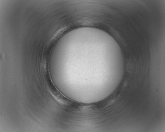 X0000076060072200610201959