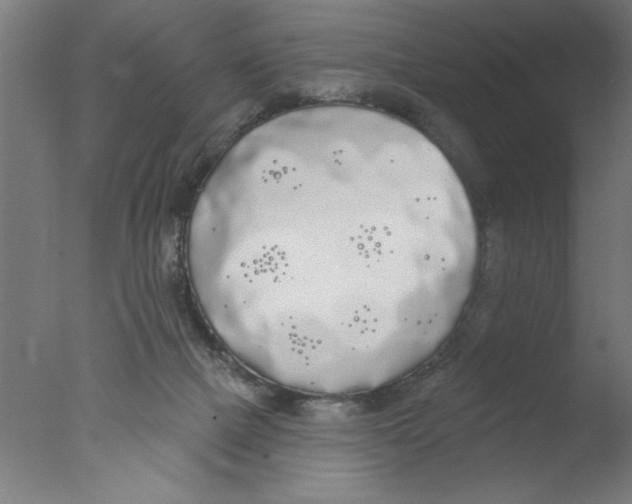 X0000076060073200610201959