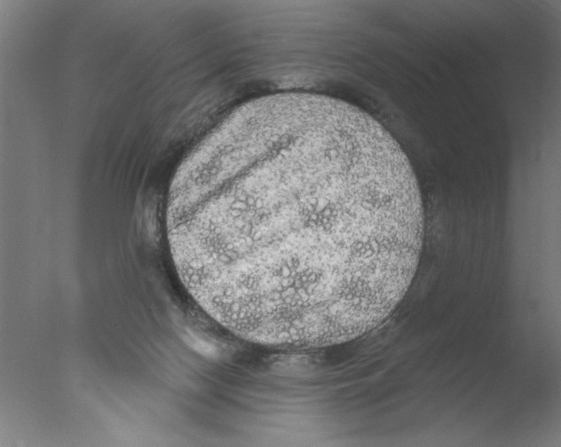 X0000076060074200610201959