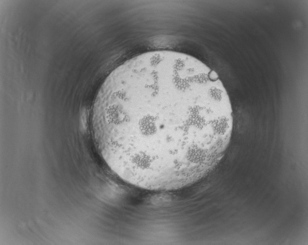 X0000076060075200610201959