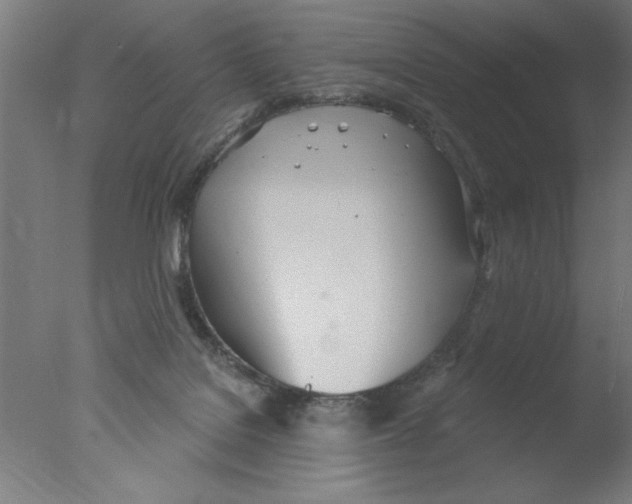 X0000076060076200610201959