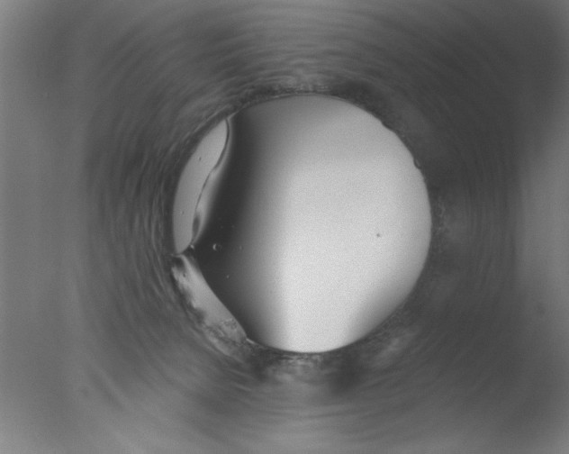 X0000076060080200610201959