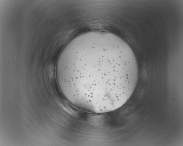 X0000076060081200610201959