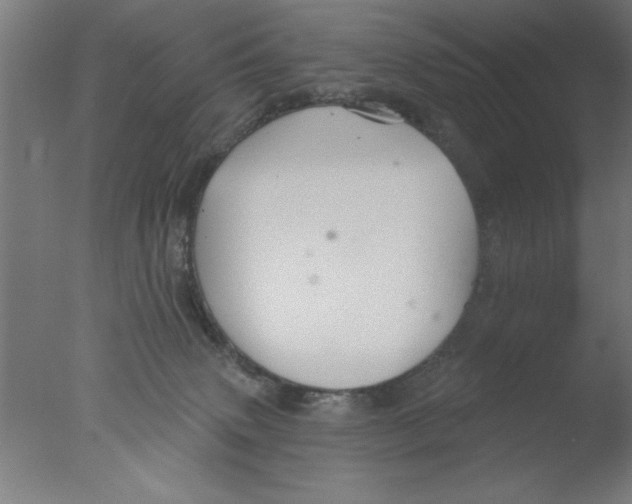 X0000076060083200610201959