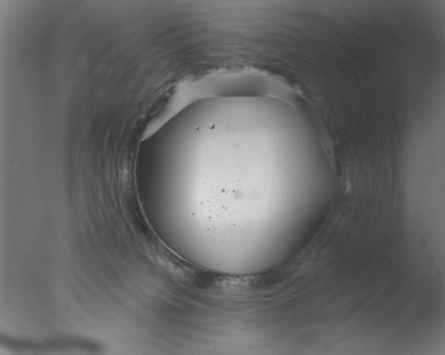 X0000076060084200610201959