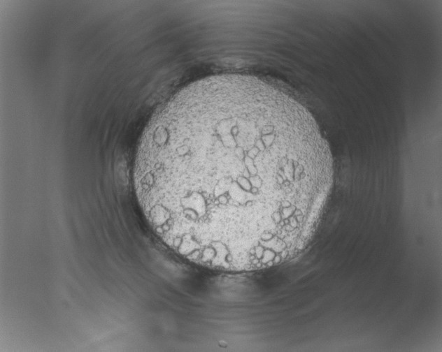 X0000076060086200610201959