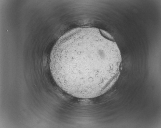 X0000076060087200610201959