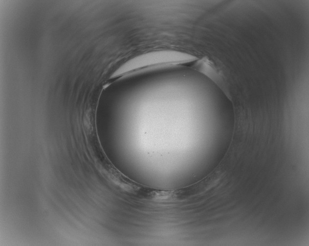 X0000076060088200610201959