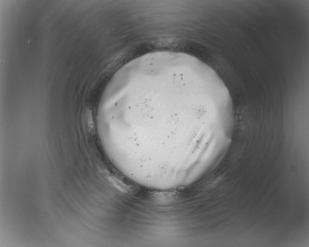 X0000076060089200610201959