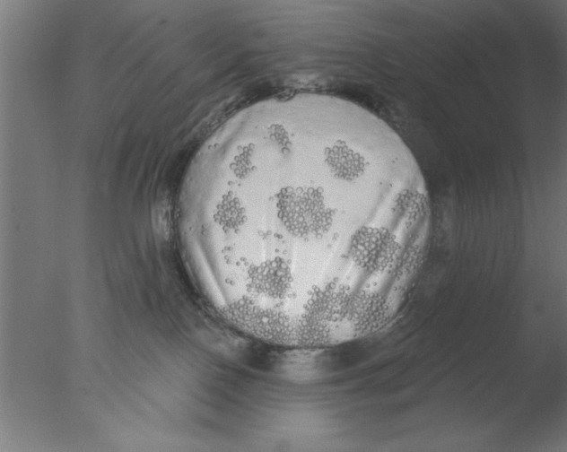 X0000076060090200610201959