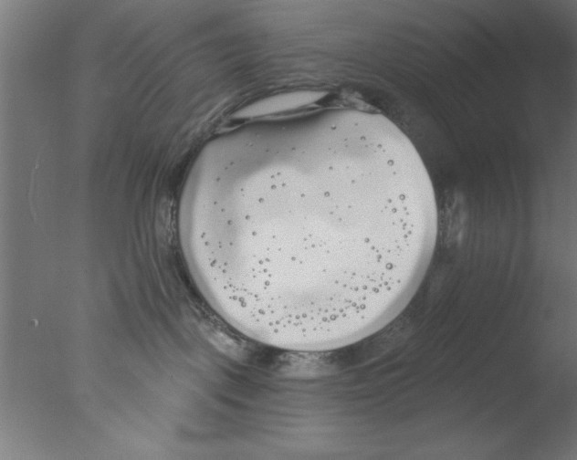 X0000076060093200610201959