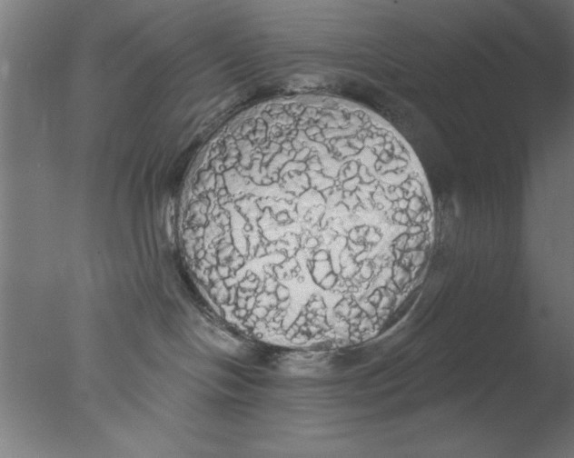 X0000076060094200610201959