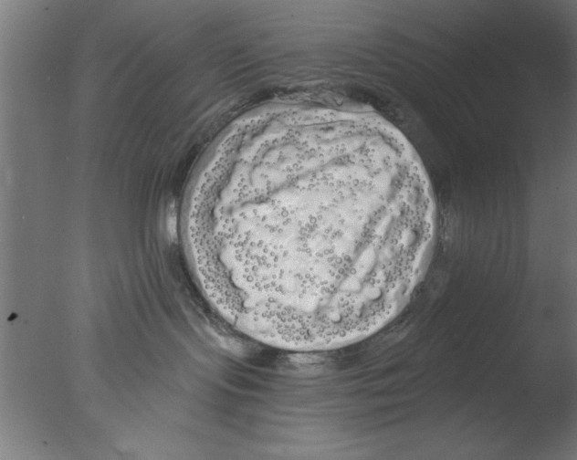 X0000076060095200610201959