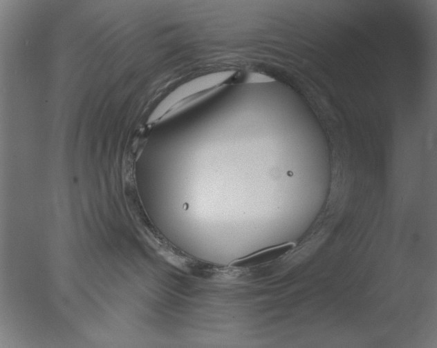 X0000076060096200610201959