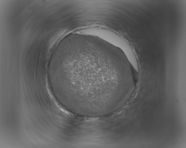 X0000076060097200610201958