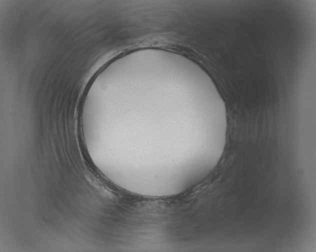 X0000076060100200610201958