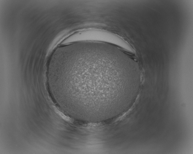 X0000076060101200610201958