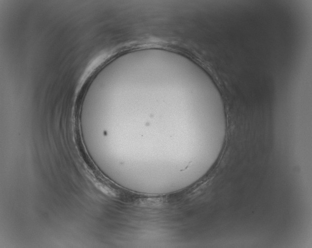 X0000076060102200610201958