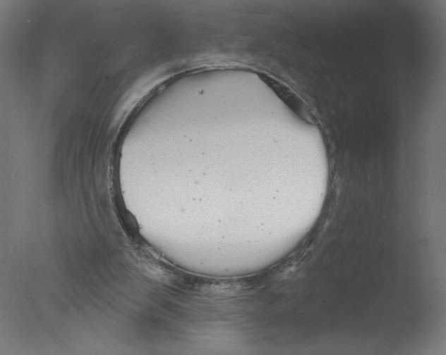 X0000076060103200610201958