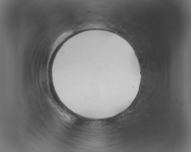 X0000076060104200610201958