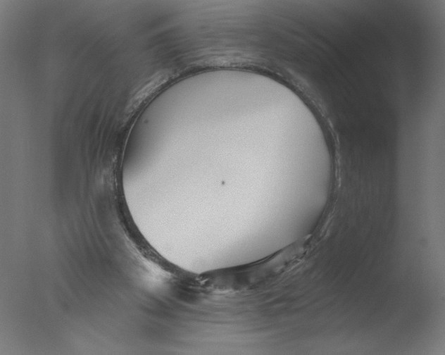 X0000076060105200610201958