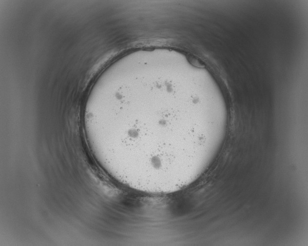 X0000076060107200610201958