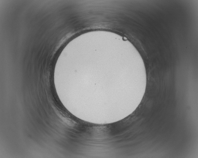 X0000076060108200610201958