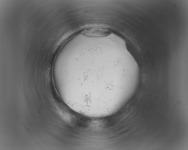 X0000076060111200610201958