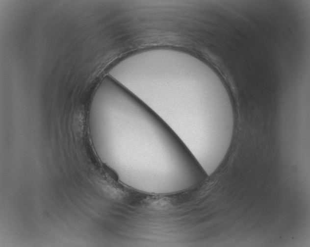 X0000076060113200610201958