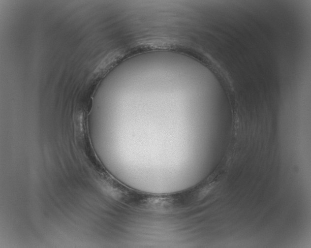 X0000076060117200610201958