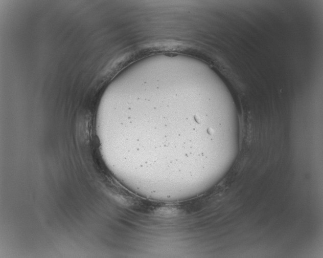 X0000076060119200610201958