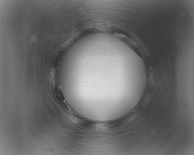 X0000076060121200610201958