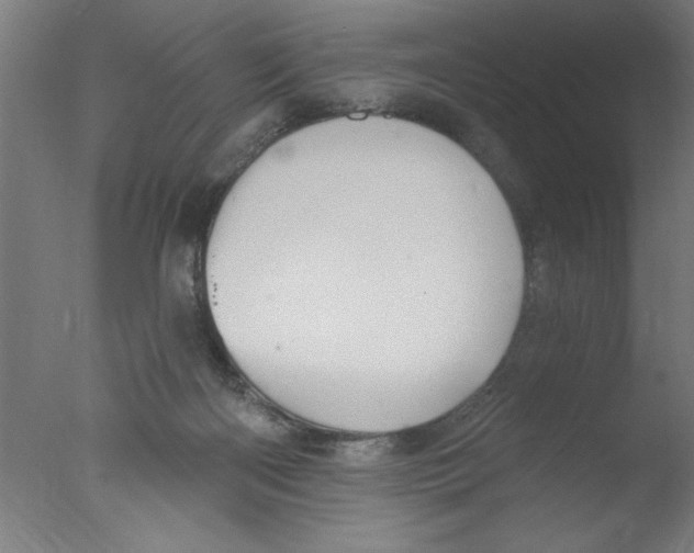 X0000076060122200610201958