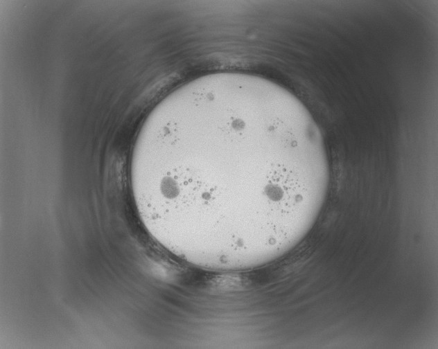 X0000076060123200610201958