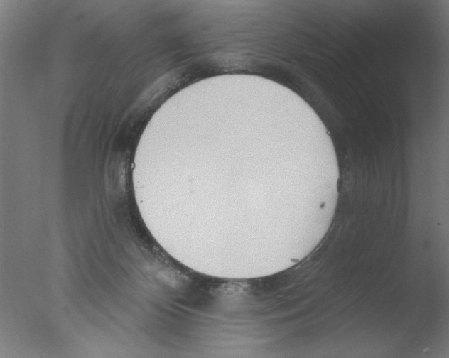 X0000076060124200610201958