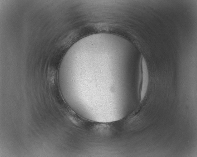 X0000076060125200610201958