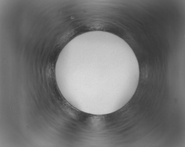 X0000076060126200610201958