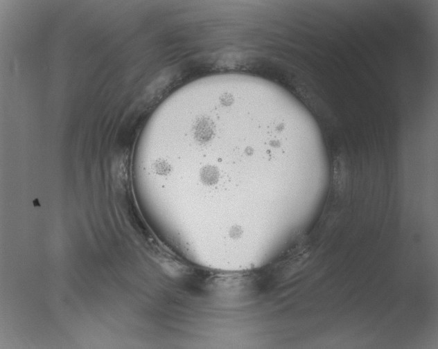 X0000076060127200610201958