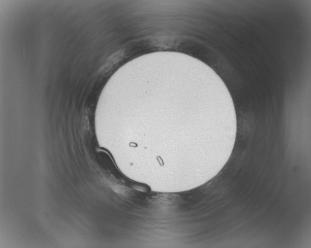 X0000076060128200610201958