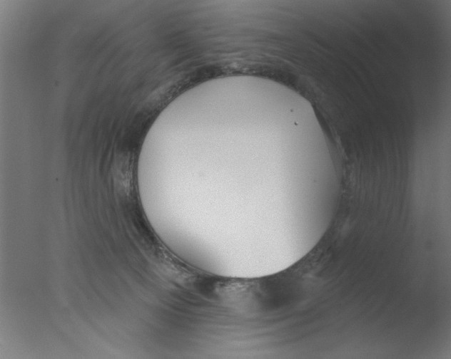 X0000076060129200610201958