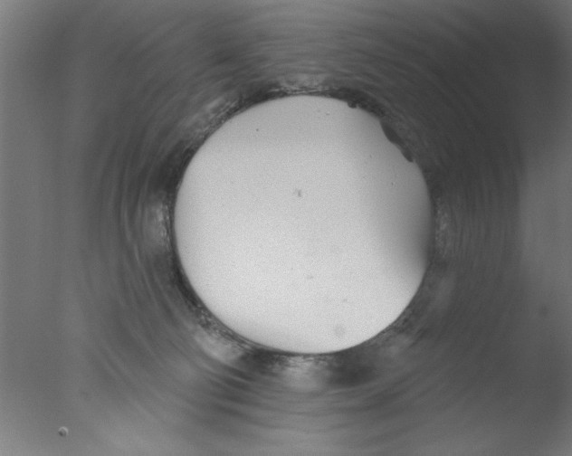 X0000076060130200610201958