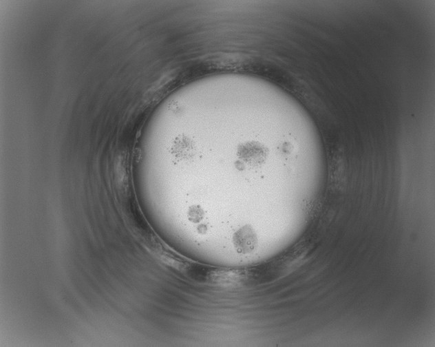 X0000076060131200610201958