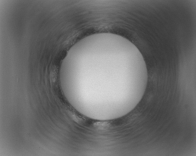 X0000076060133200610201958