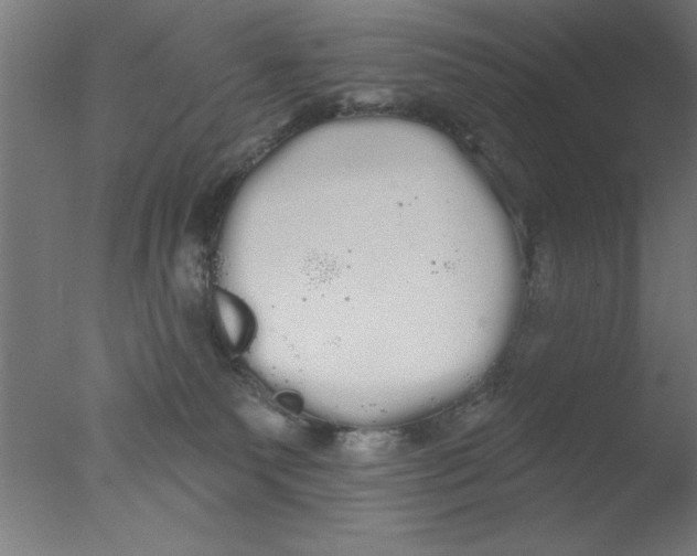 X0000076060135200610201958