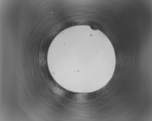 X0000076060136200610201958