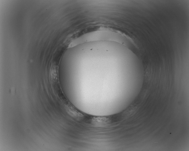 X0000076060137200610201958